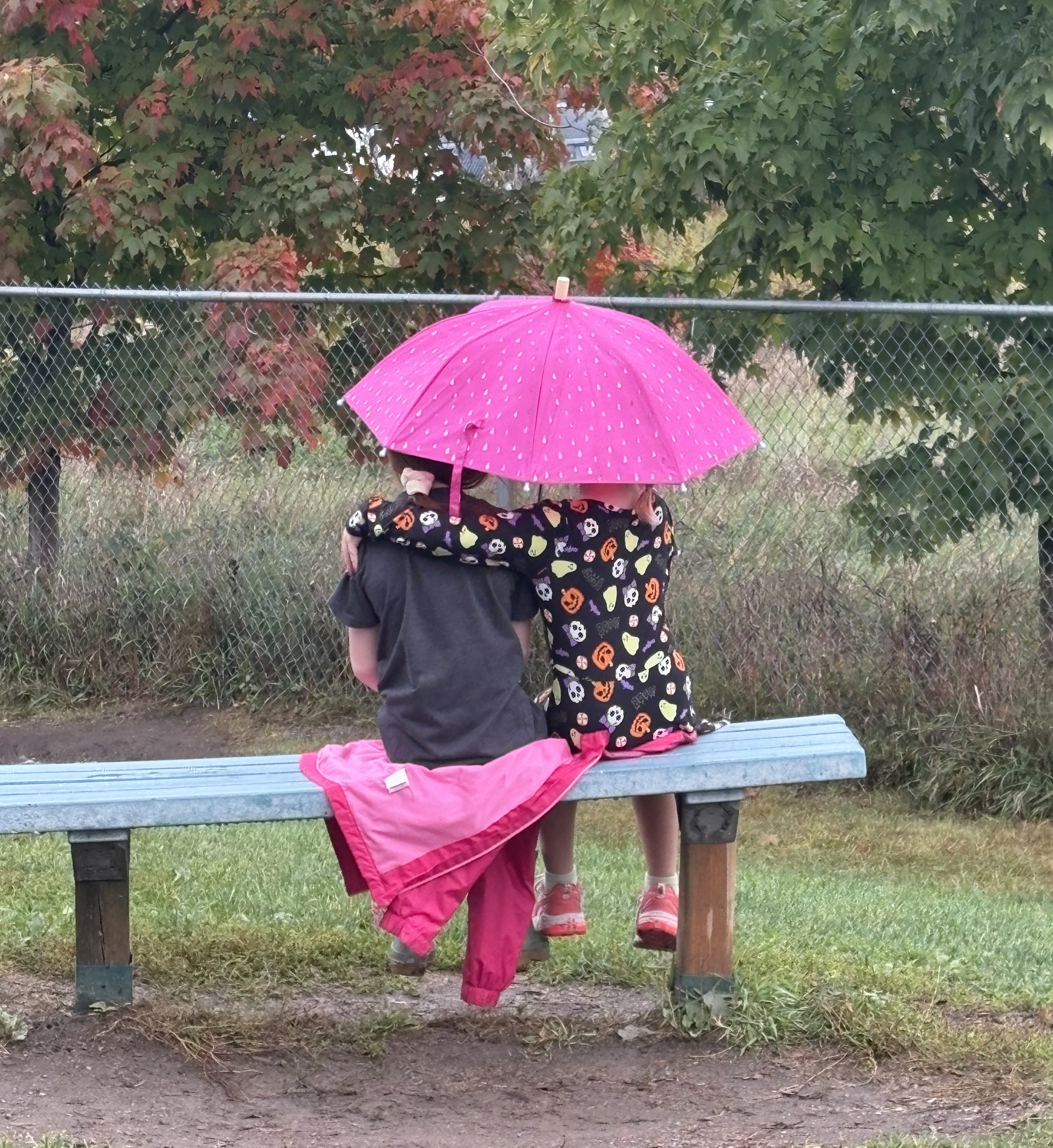 Southview PS Fall